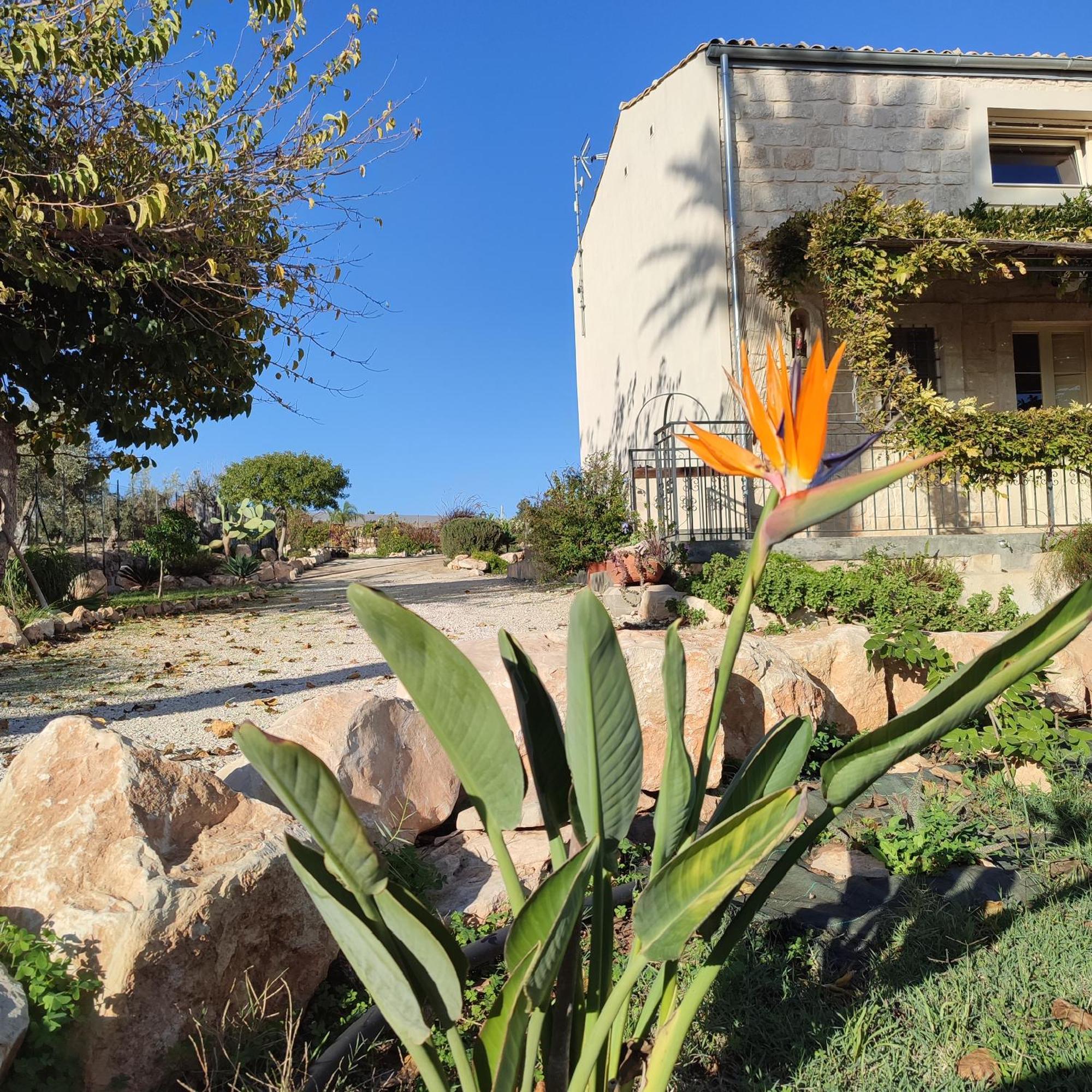 Villa Casadorata Buen Retiro Vista Mare Donnalucata  Exterior foto