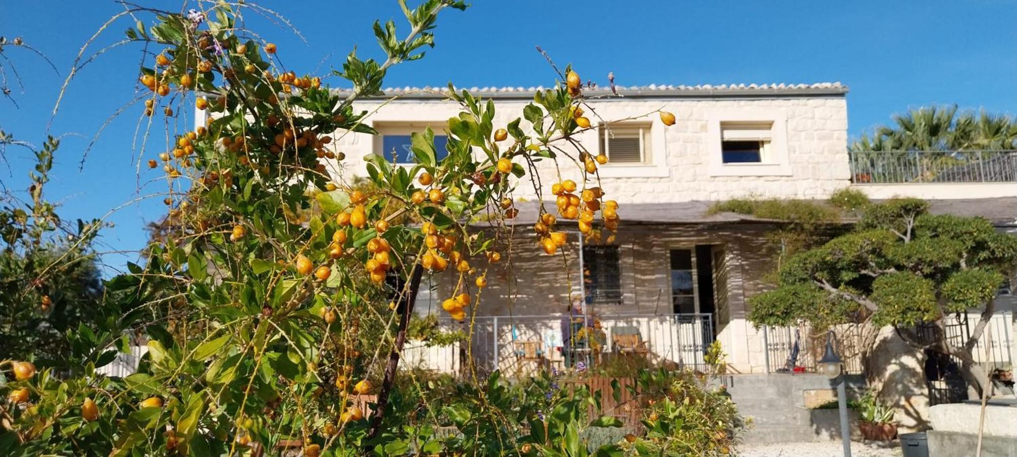 Villa Casadorata Buen Retiro Vista Mare Donnalucata  Exterior foto